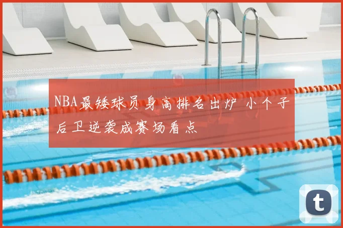 NBA最矮球员身高排名出炉 小个子后卫逆袭成赛场看点